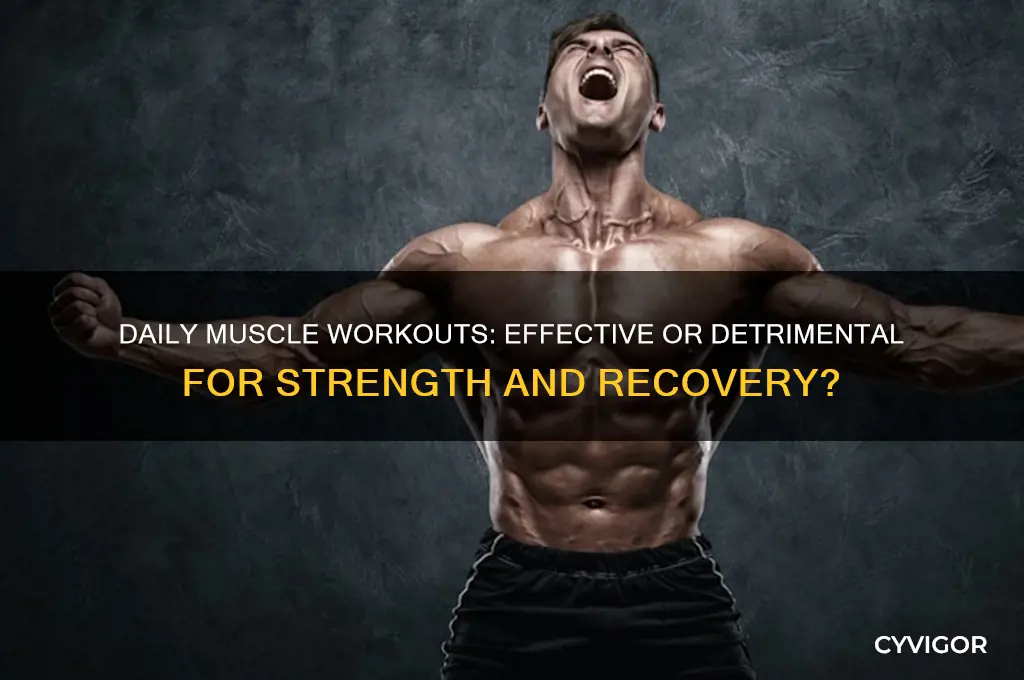 is it bad to work a muscle every day