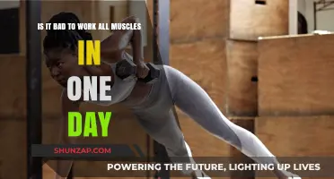 Is Working All Muscles in One Day Harmful or Helpful?