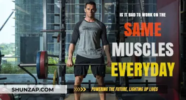 Daily Muscle Training: Harmful Habit or Effective Workout Strategy?