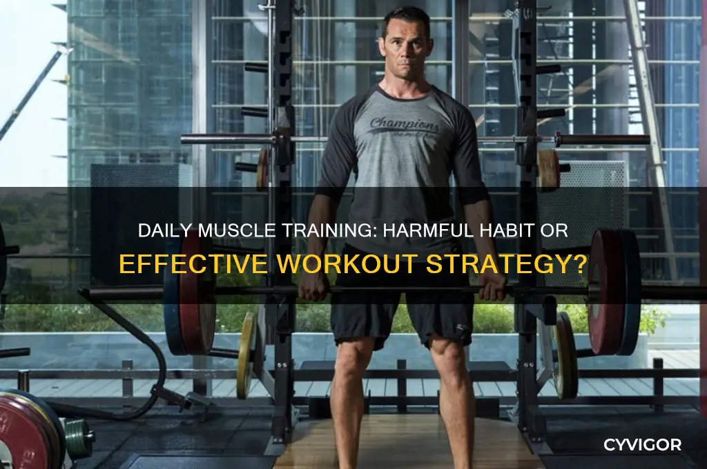 is it bad to work on the same muscles everyday