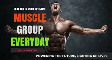 Daily Muscle Group Workouts: Effective or Counterproductive for Fitness?
