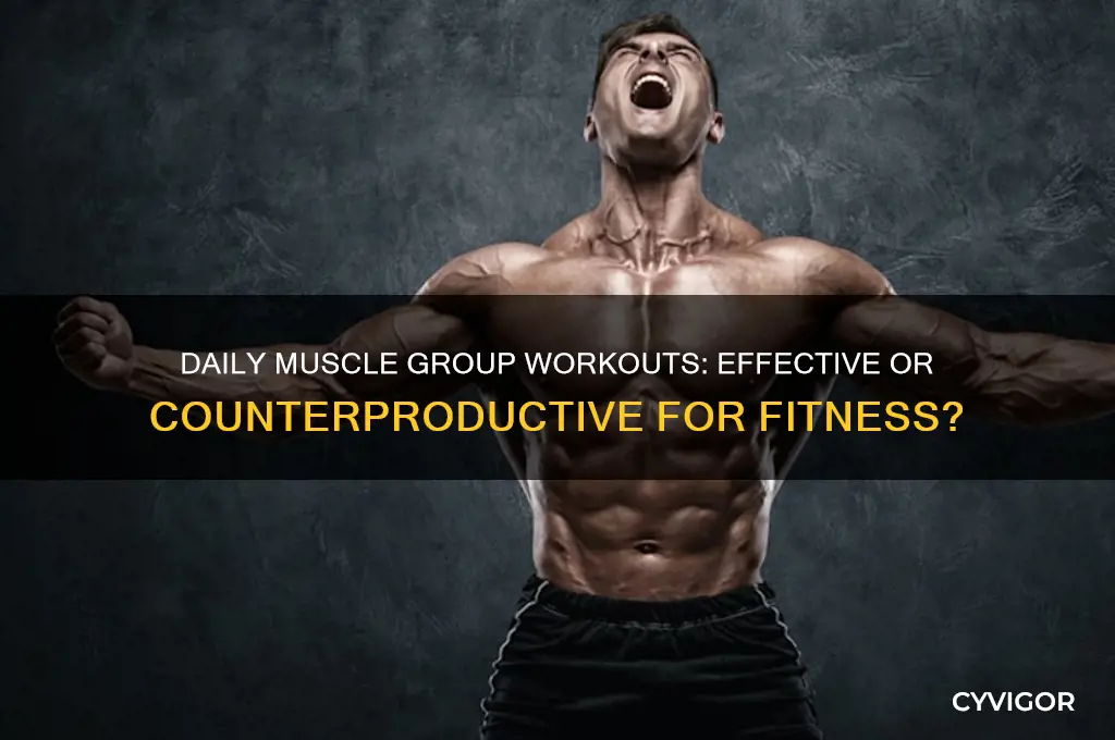 is it bad to work out same muscle group everyday