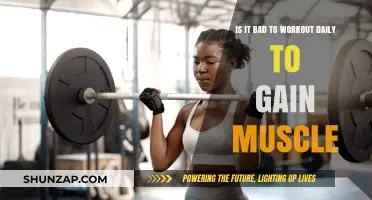 Daily Workouts for Muscle Gain: Beneficial or Detrimental?