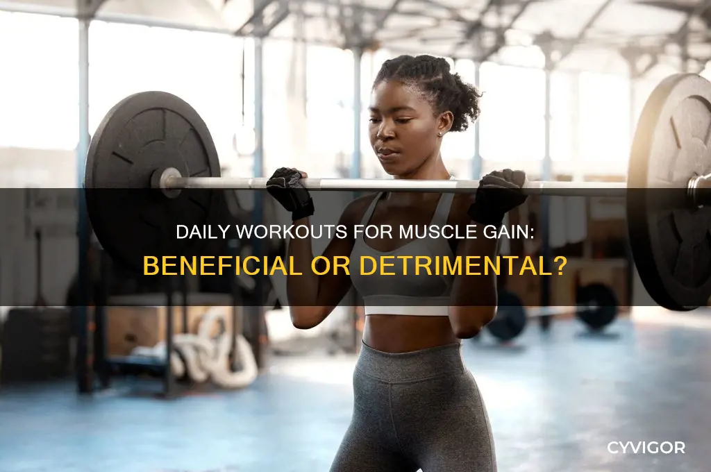 is it bad to workout daily to gain muscle