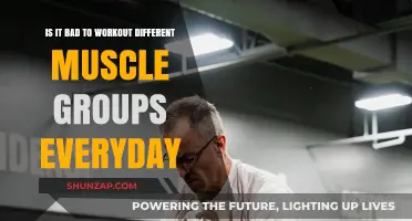 Daily Muscle Group Workouts: Effective or Counterproductive for Fitness?