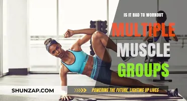 Is Training Multiple Muscle Groups in One Workout Beneficial or Harmful?