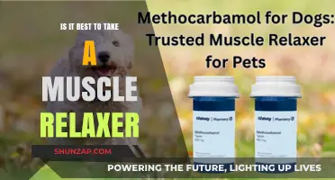 Should You Take Muscle Relaxers? Weighing Benefits and Risks