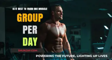 One Muscle Group Per Day: Optimal Training Strategy or Myth?
