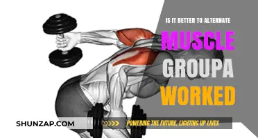 Alternating Muscle Groups: Optimal Strategy or Overrated Training Myth?