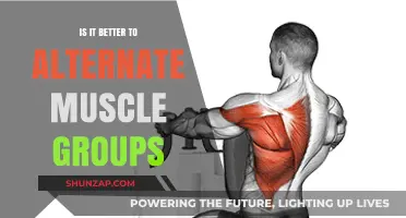Alternating Muscle Groups: Optimal Strategy or Overrated Fitness Myth?