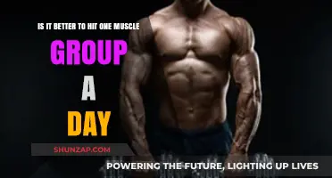 One Muscle Group Per Day: Optimal Workout Strategy or Overkill?