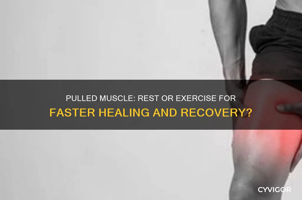 is it better to rest or exercise a pulled muscle