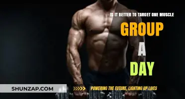 One Muscle Group Per Day: Effective or Inefficient Training Strategy?