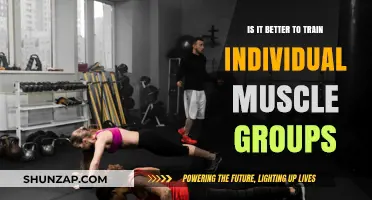 Individual Muscle Training vs. Full-Body Workouts: Which is Better?