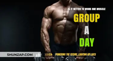 One Muscle Group Daily: Optimal Workout Strategy or Overkill?