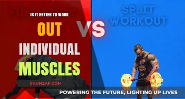 Individual Muscle Workouts vs. Full-Body Training: Which is Better?