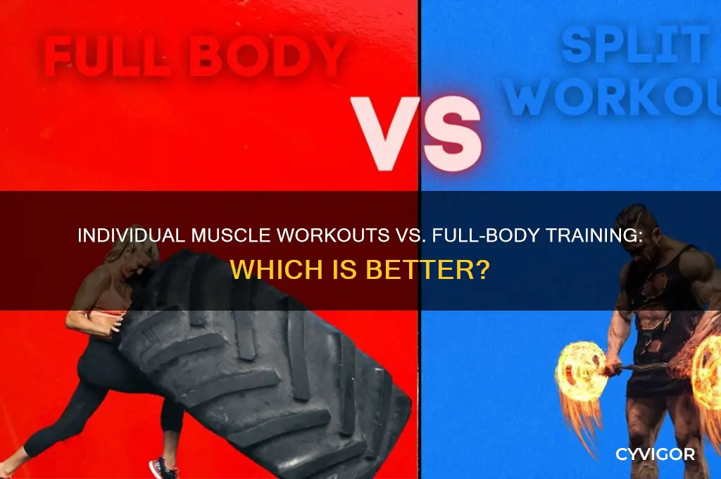 is it better to work out individual muscles