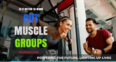 Muscle Group Workouts: Better Results Through Targeted Training or Full-Body?