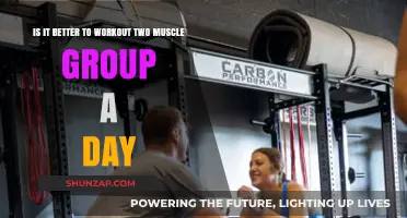 Is Training Two Muscle Groups Daily Optimal for Fitness Gains?