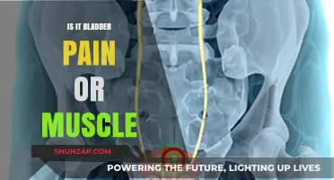Bladder Pain or Muscle Discomfort: Understanding the Difference and Causes