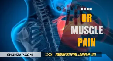 Bone or Muscle Pain: Identifying the Source and Finding Relief