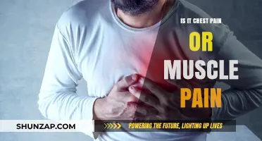 Chest Pain or Muscle Pain: How to Tell the Difference