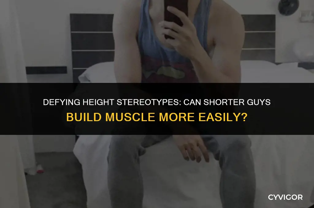 is it easier for short guys to build muscle