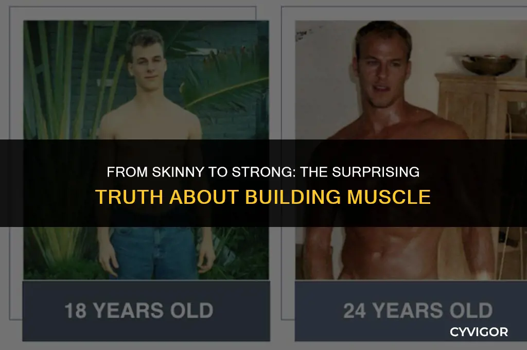 is it easier to build muscle when fat or skinny
