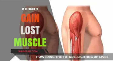 Regaining Lost Muscle: Easier Than You Think? Discover the Truth