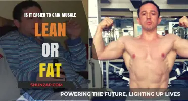Muscle Gain: Lean vs. Fat – Which Path is Easier?