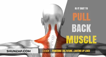 Can You Easily Strain a Back Muscle? Facts and Prevention Tips