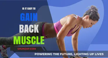 Regaining Lost Muscle: How Easy Is It to Rebuild Strength?