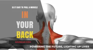 Can You Easily Strain Your Back Muscles? Understanding the Risks