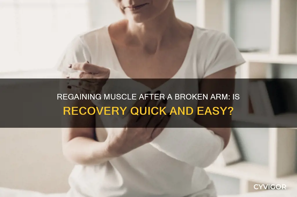 is it easy to regain muscle after breaking arm