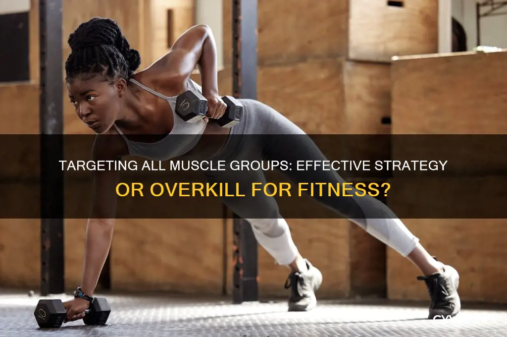 is it effective to target all muscle groups