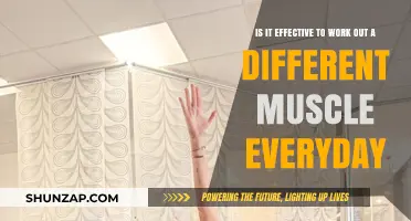 Daily Muscle Rotation: Effective Strategy or Fitness Myth?