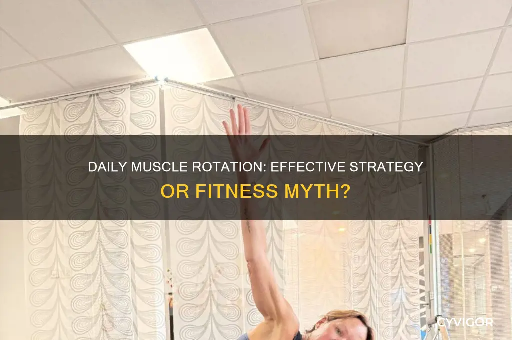 is it effective to work out a different muscle everyday
