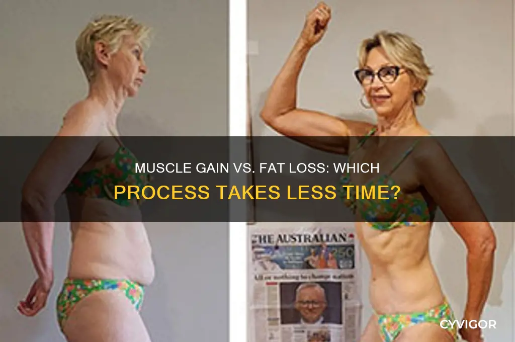 is it faster to gain muscle or lose fat