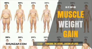 Fat or Muscle: Decoding Your Weight Gain and Body Composition