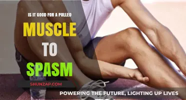 Pulled Muscle Spasms: Beneficial or Harmful for Recovery?