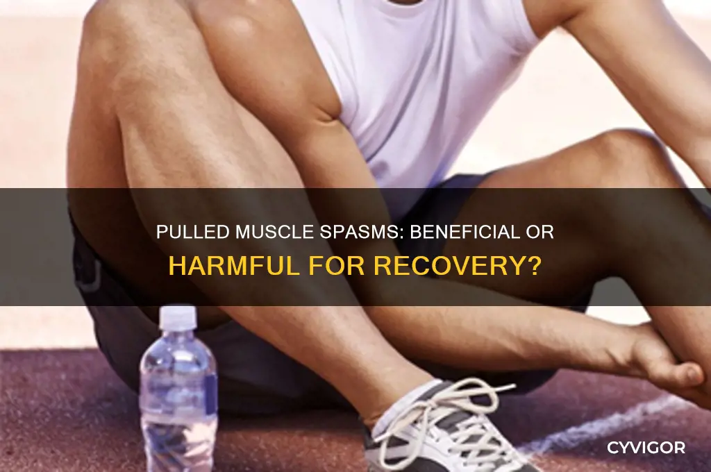 is it good for a pulled muscle to spasm