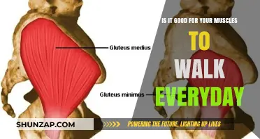 Daily Walking Benefits: Strengthening Muscles and Overall Health
