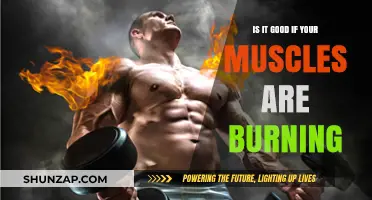 Muscle Burn: Pain or Gain? Understanding Exercise Intensity