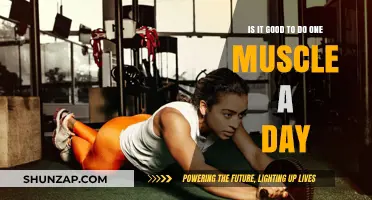 One Muscle a Day: Effective or Inefficient Training Strategy?