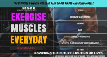Daily Muscle Workouts: Benefits, Risks, and Optimal Recovery Strategies