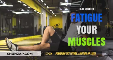 Muscle Fatigue: Benefits, Risks, and Optimal Training Strategies Explained