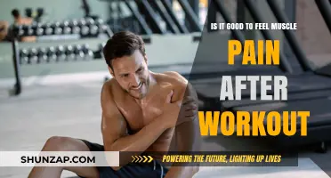 Muscle Pain After Workouts: A Sign of Progress or Overtraining?