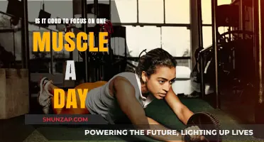 Single Muscle Focus: Effective Strategy or Time-Wasting Myth?