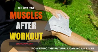 Should You Ice Muscles Post-Workout? Benefits and Best Practices