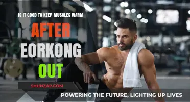 Post-Workout Muscle Warmth: Benefits and Best Practices for Recovery